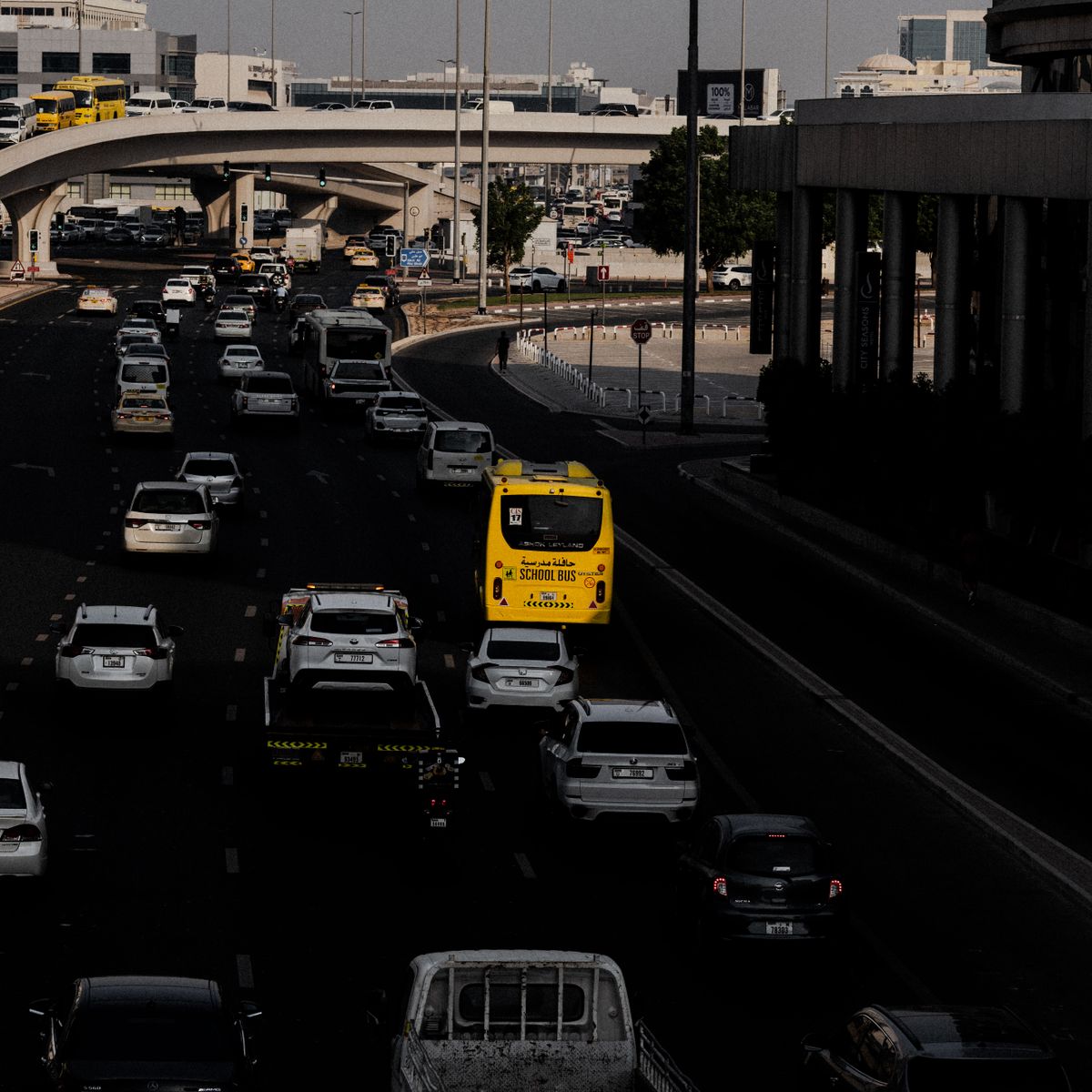 Bus urbain circulant sur une voie surélevée d'une ville, idéal pour une visite panoramique
